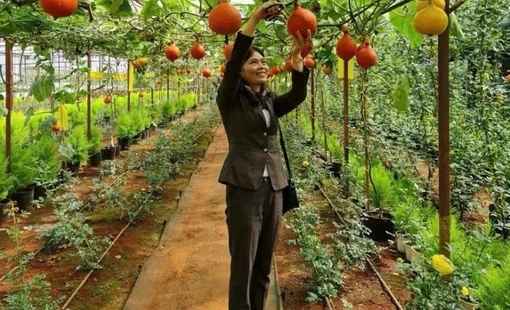 Nông thôn mới Lâm Đồng: Phát triển kinh tế nông nghiệp gắn với nâng cao chất lượng sống