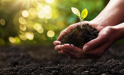 Hành trình sản phẩm nông nghiệp hữu cơ từ cánh đồng đến tay người tiêu dùng