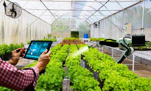 Chuyển đổi số trong nông nghiệp Hà Nội: Hướng đi tất yếu để nâng cao chất lượng và giá trị nông sản