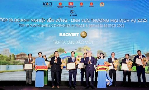 CSI 2025: Ghi nhận động lực chuyển đổi xanh doanh nghiệp