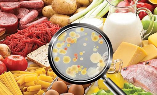 Kiểm soát vi sinh vật trong thực phẩm – hướng đến sản xuất sạch