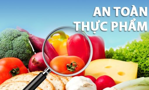 Nâng cao nhận thức ATTP cho hộ sản xuất nhỏ lẻ: Vai trò của truyền thông khoa học