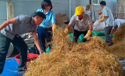 Ứng dụng công nghệ sinh học trong xử lý rác thải nông thôn