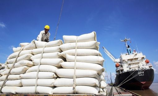 Xuất khẩu gạo: Tìm dư địa tăng trưởng từ các FTA và thị trường mới