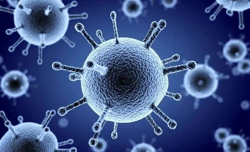 Mùa cúm toàn cầu gia tăng, virus cúm A chiếm ưu thế