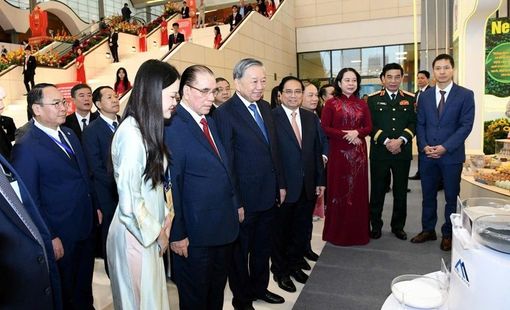 Khẳng định vị thế trí tuệ Việt trên bản đồ vật liệu công nghệ cao toàn cầu