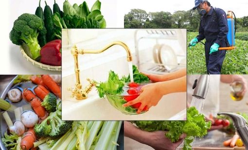 Thực trạng tồn dư thuốc bảo vệ thực vật trong nông sản hiện nay: Mối lo âm thầm đối với sức khỏe cộng đồng
