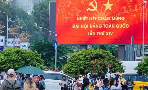 Rực rỡ cờ, hoa chào mừng Đại hội XIV của Đảng