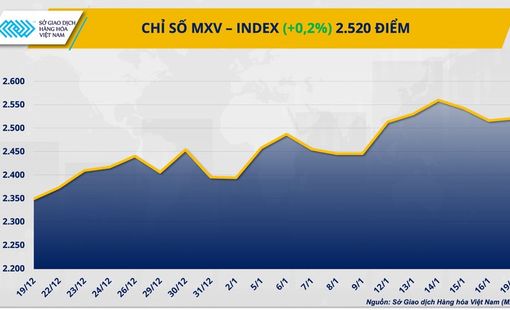 THỊ TRƯỜNG HÀNG HÓA: Thanh khoản sụt giảm trong ngày Mỹ nghỉ lễ, MXV-Index vẫn giữ sắc xanh