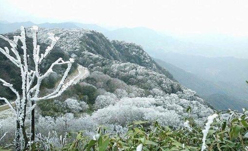 Chủ động ứng phó rét đậm, rét hại