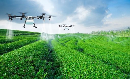 Công nghiệp hóa, hiện đại hóa nông nghiệp – trục phát triển xuyên suốt nhiệm kỳ Đại hội XIII