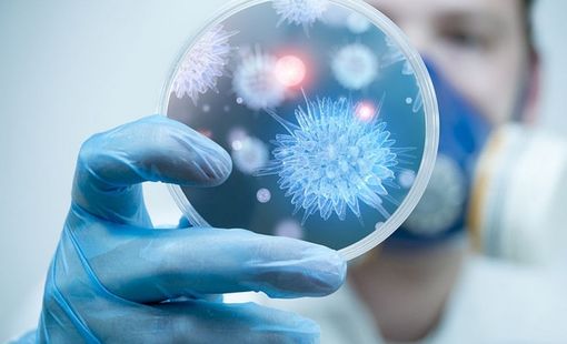 Bộ Y tế khuyến cáo người dân hạn chế đến khu vực có dịch bệnh do virus Nipah