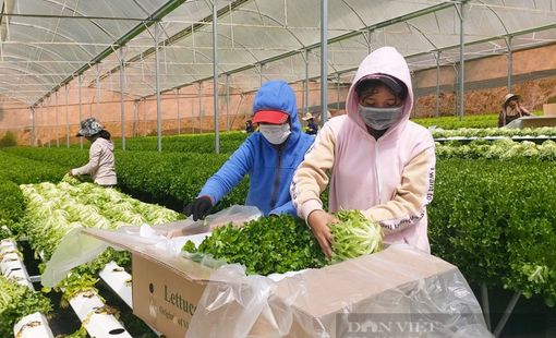 Chế biến, bảo quản nông sản – nền tảng cho hệ sinh thái thực phẩm an toàn