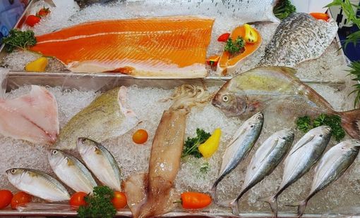 Bảo quản thủy sản: Yếu tố quyết định chất lượng và an toàn thực phẩm