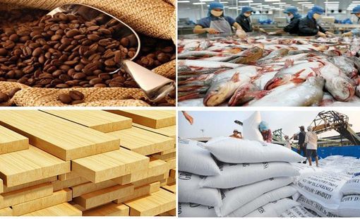 Chế biến nông sản, thủy sản: Hướng đi bền vững cho kinh tế nông thôn gắn với sức khỏe và môi trường