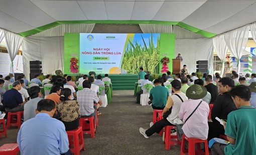 Ngày hội nông dân trồng lúa 2026: Thúc đẩy sản xuất lúa chất lượng cao, giảm phát thải ở ĐBSCL