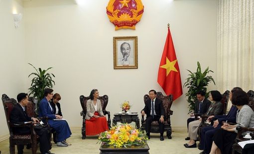 Việt Nam tăng cường hợp tác với UNDP, WHO trong cải thiện chất lượng không khí