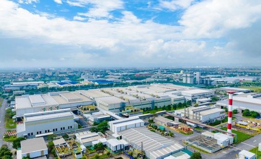IMC đồng hành cùng doanh nghiệp nâng cao năng lực quản trị và tuân thủ thuế