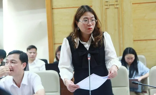 'Cần cho phép chủ động nâng mức hỗ trợ, tạo sự linh hoạt khi triển khai chính sách về dân số'