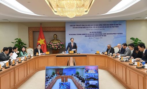 Việt Nam thúc đẩy hợp tác quốc tế cho chuyển đổi xanh và Net Zero