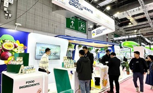 AIG khẳng định vị thế hàng đầu tại Hotelex Shanghai 2026