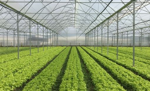 Thiết kế bộ điều khiển tự động và khảo nghiệm ảnh hưởng của tần số dao động đến lực ghim cảm biến độ ẩm vào giá thể,  áp dụng trên mô hình rô bốt trong nhà màng