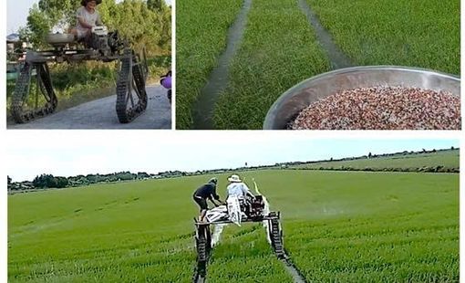 Thử nghiệm máy phun thuốc, bón phân cho ruộng lúa sử dụng hệ thống di động bằng xích cao su
