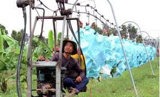 Kết quả nghiên cứu thiết kế chế tạo và khảo nghiệm  Thiết bị vận chuyển buồng chuối trên đường ray treo