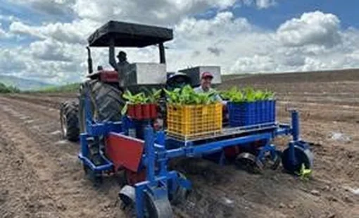 Kết quả nghiên cứu hệ thống thiết bị cơ giới hóa một số khâu canh tác chuối qui mô tập trung