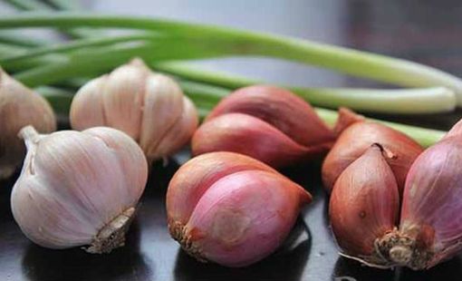 Kết quả nghiên cứu ứng dụng cơ giới hóa đồng bộ sản xuất hành củ, tỏi tại vùng sản xuất tập trung