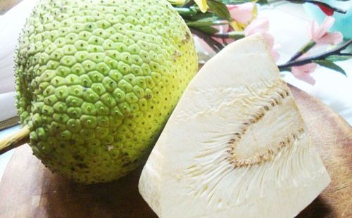 Nghiên cứu thực nghiệm sấy trái Sa Kê thái lát bằng bơm nhiệt kết hợp bức xạ hồng ngoại