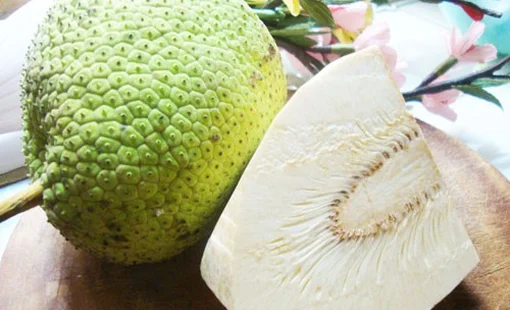 Nghiên cứu thực nghiệm sấy trái Sa Kê thái lát bằng bơm nhiệt kết hợp bức xạ hồng ngoại