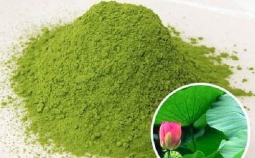 Kết quả thiết kế, chế tạo và khảo nghiệm máy thái tách gân lá sen để sản xuất bột matcha lá sen Huế