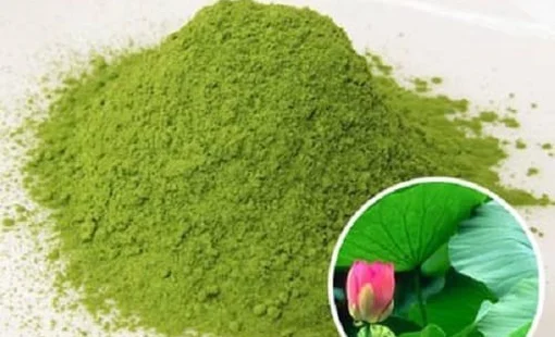 Kết quả thiết kế, chế tạo và khảo nghiệm máy thái tách gân lá sen để sản xuất bột matcha lá sen Huế