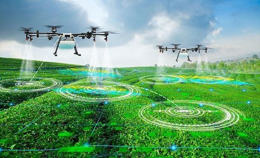 Tự động hóa trong nông nghiệp: Cơ hội và thách thức – tích hợp robot và máy móc trong canh tác