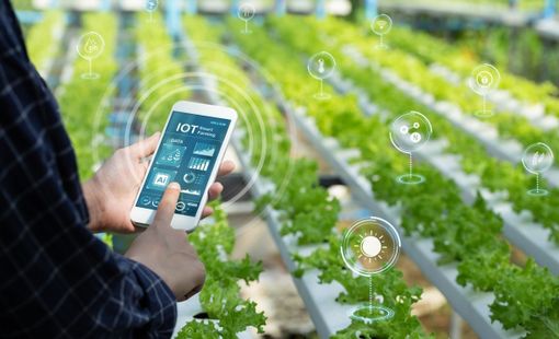 Cơ giới hóa và tái cơ cấu nền nông nghiệp Việt Nam theo hướng nông nghiệp thông minh