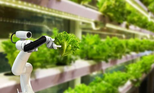 Số hóa nông nghiệp: Khi dữ liệu trở thành “chìa khóa” nâng tầm giá trị nông sản