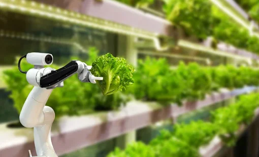 Số hóa nông nghiệp: Khi dữ liệu trở thành “chìa khóa” nâng tầm giá trị nông sản