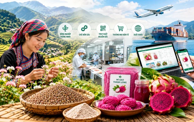 [Infographic] Đặc sản vùng cao: Đưa công nghệ vào chuỗi giá trị để mở rộng thị trường