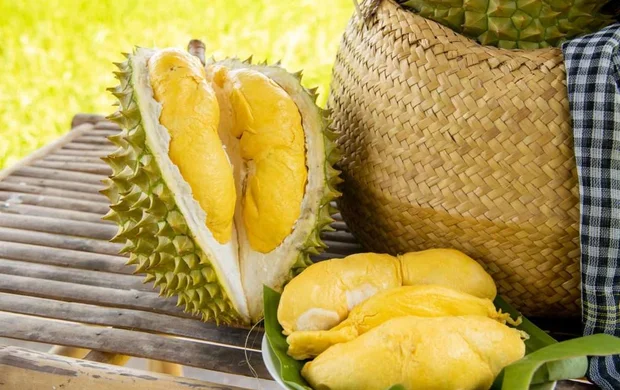 Giá sầu riêng hôm nay 2/10: Sầu Thái tăng tại Lâm Đồng, Ri6 giảm ở miền Tây