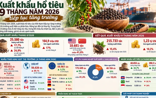 Xuất khẩu hồ tiêu 9 tháng năm 2026 tiếp tục tăng trưởng
