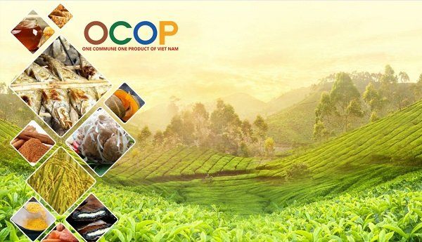 [Infographic] Bộ tiêu chí và quy trình đánh giá, phân hạng sản phẩm OCOP
