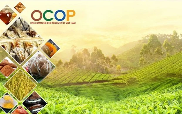 [Infographic] Bộ tiêu chí và quy trình đánh giá, phân hạng sản phẩm OCOP