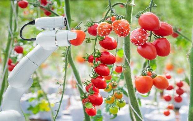 Khu nông nghiệp công nghệ cao được hưởng loạt chính sách ưu đãi mới