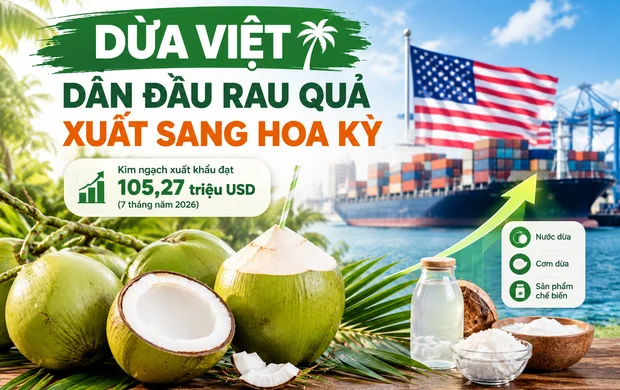[Infographic] Dừa Việt dẫn đầu rau quả xuất sang Hoa Kỳ