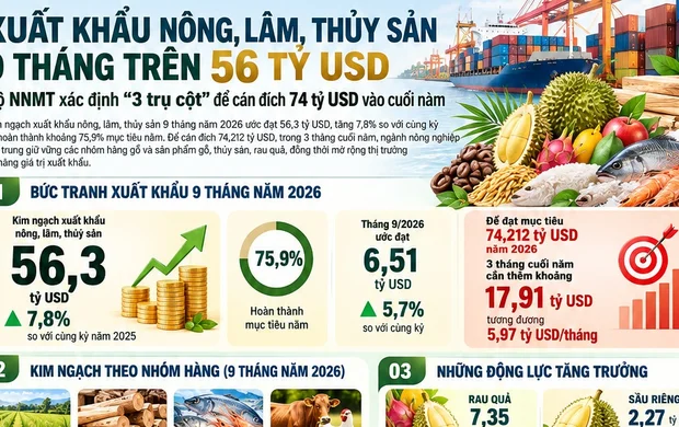 [Infographic] Xuất khẩu nông, lâm, thủy sản 9 tháng đạt 56,3 tỷ USD, hướng tới mục tiêu hơn 74 tỷ USD