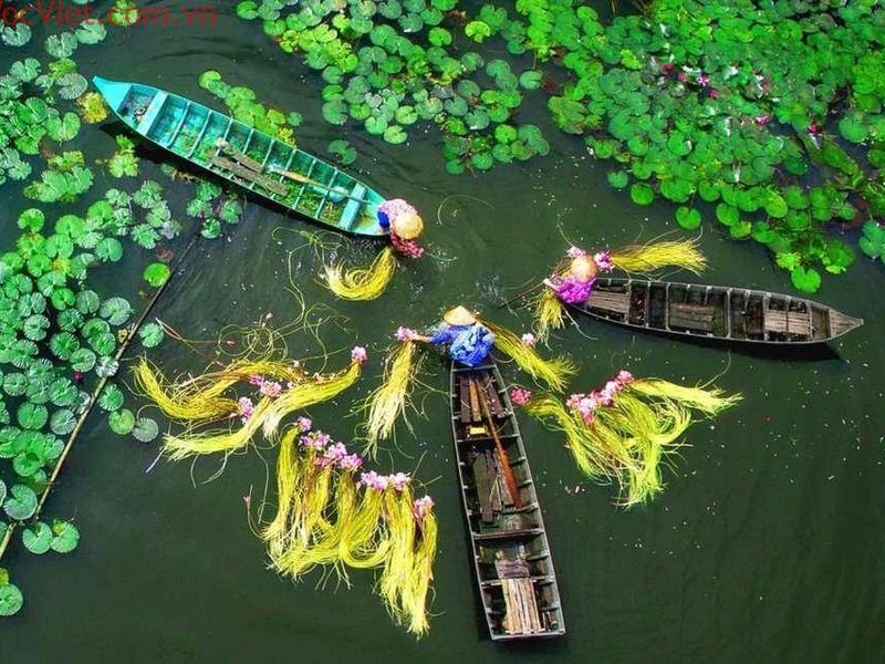Kết nối sản phẩm OCOP với du lịch cộng đồng, Đồng Tháp tạo sức bật kinh tế nông thôn