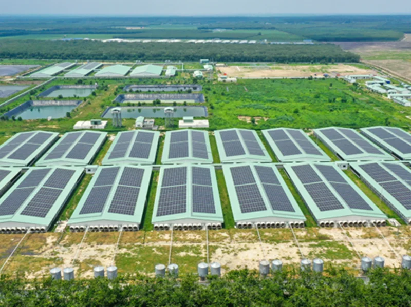 BAF gia nhập rổ VN100, mở rộng hiện diện trong nhóm cổ phiếu vốn hóa lớn