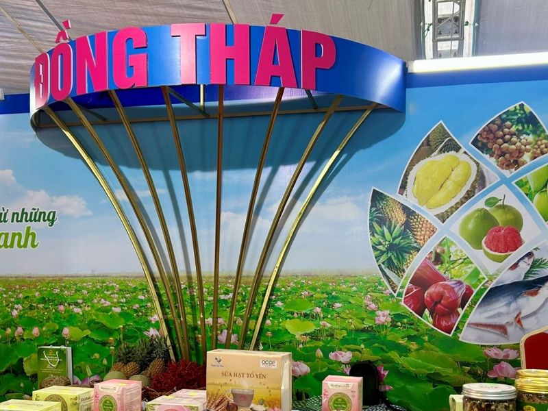 OCOP 5 sao Đồng Tháp: Hạt sen sấy Nam Huy Đồng Tháp và hành trình nâng tầm “quốc hoa” miền Tây