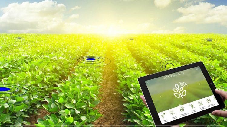 Doanh nghiệp cơ khí nông nghiệp đổi mới công nghệ: Chìa khóa nâng sức cạnh tranh trong thời đại số